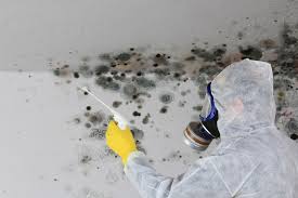 Best Real Estate Mold Inspection in Vinita, OK